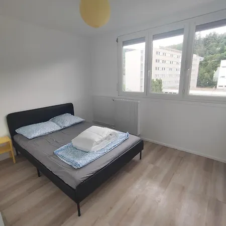 Apartamento F4 Neuf Saint-Etienne  Exterior foto